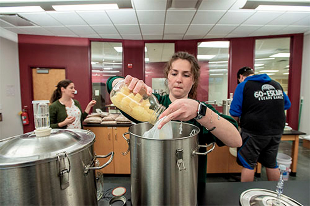 fermentation program 